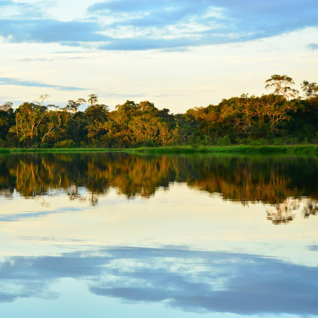 Amazin sunsets in the Yasuni National Park Ecuador by @joreasonable / Getty Images via Canva Pro